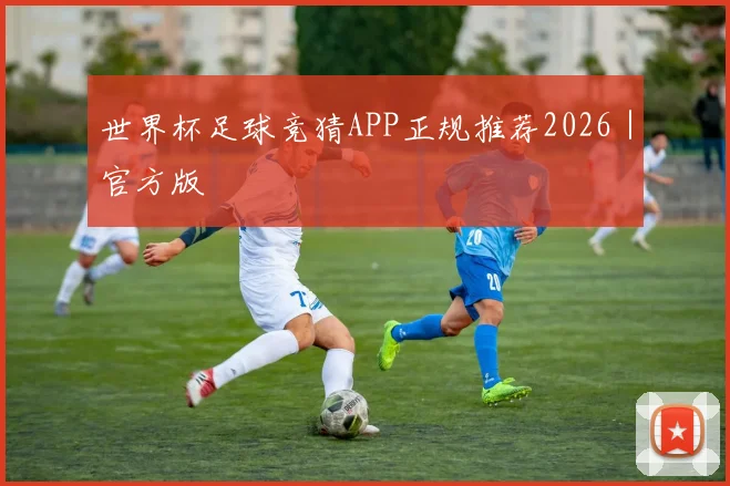 世界杯足球竞猜APP正规推荐2026｜官方版