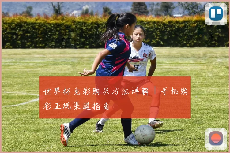 世界杯竞彩购买方法详解|手机购彩正规渠道指南