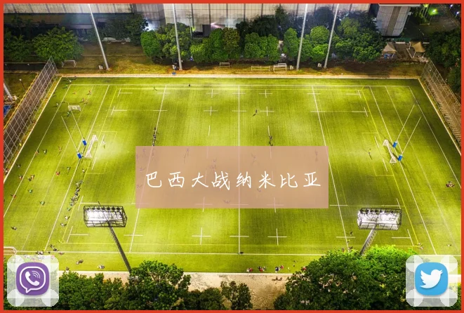 巴西大战纳米比亚