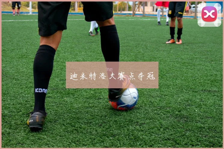 迪米特洛夫赛点夺冠