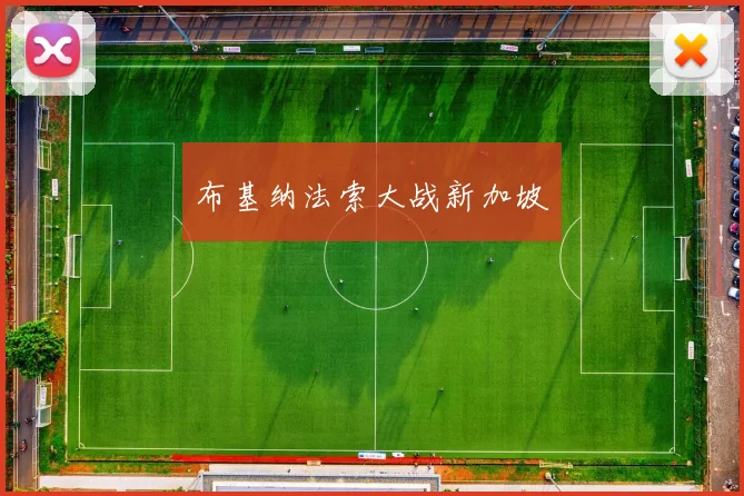 布基纳法索大战新加坡